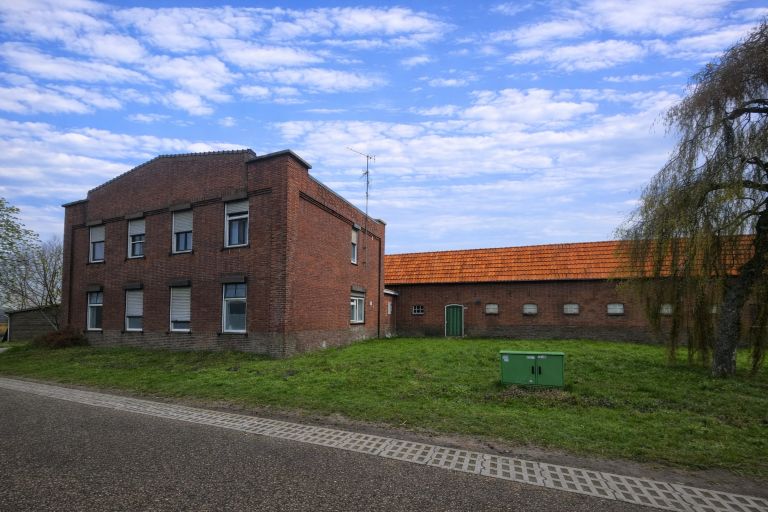 07